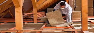 Best Eco-Friendly or Green Insulation Solutions  in Lantana, TX